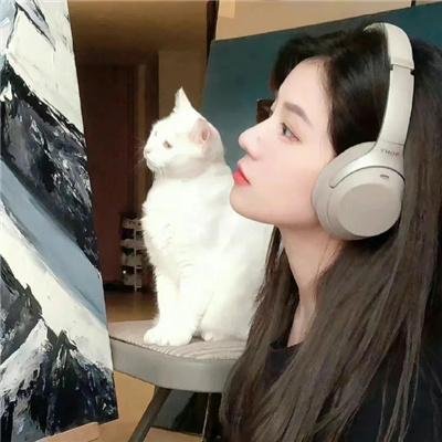如果我是你